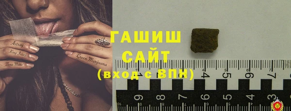 ГАЛЛЮЦИНОГЕННЫЕ ГРИБЫ Бородино