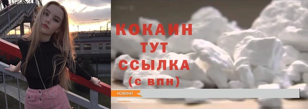 ГАЛЛЮЦИНОГЕННЫЕ ГРИБЫ Бородино
