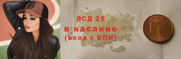 ГАЛЛЮЦИНОГЕННЫЕ ГРИБЫ Бородино