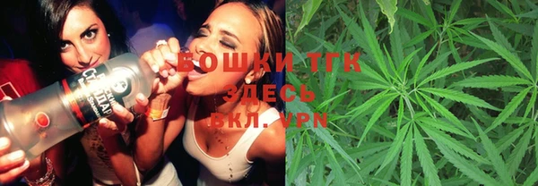 ГАЛЛЮЦИНОГЕННЫЕ ГРИБЫ Бородино