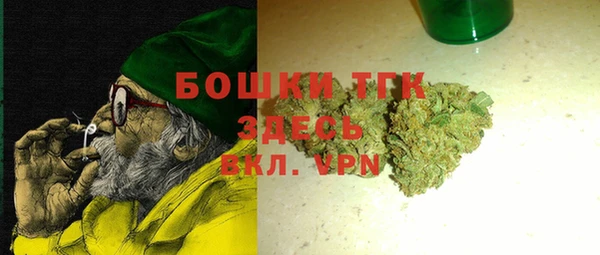 ГАЛЛЮЦИНОГЕННЫЕ ГРИБЫ Бородино