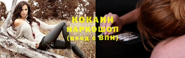 ГАЛЛЮЦИНОГЕННЫЕ ГРИБЫ Бородино