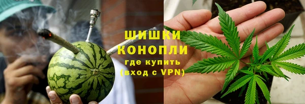 ГАЛЛЮЦИНОГЕННЫЕ ГРИБЫ Бородино